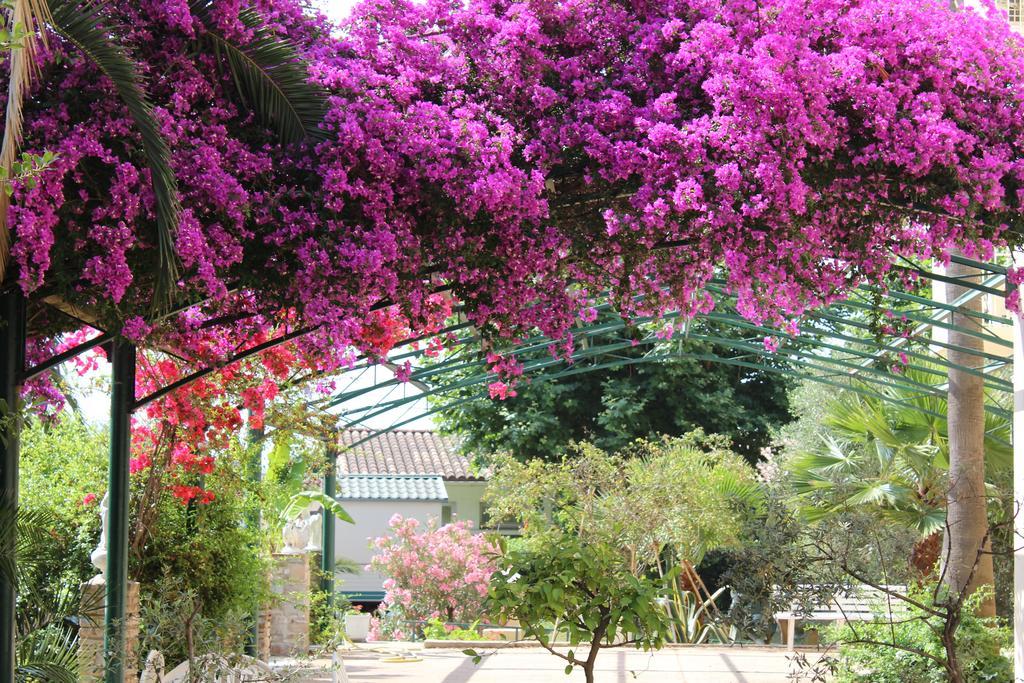 Castellu Hotel Lucciana  Ngoại thất bức ảnh